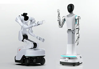 Mobile robots